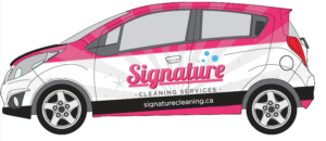 Winnipeg cute cars signature cleaning
